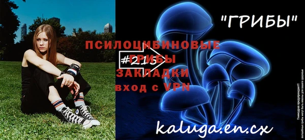 дмт Сатка