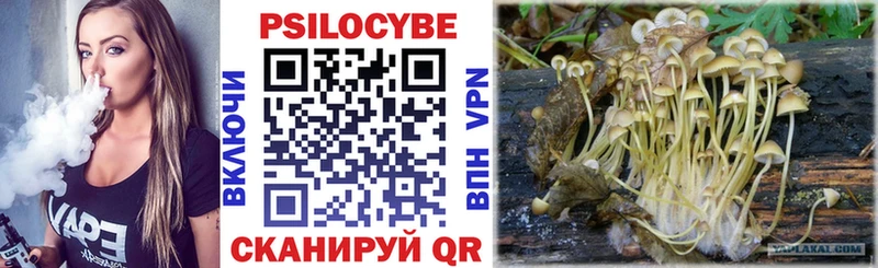 мориарти телеграм Ижевск Галлюциногенные грибы ЛСД