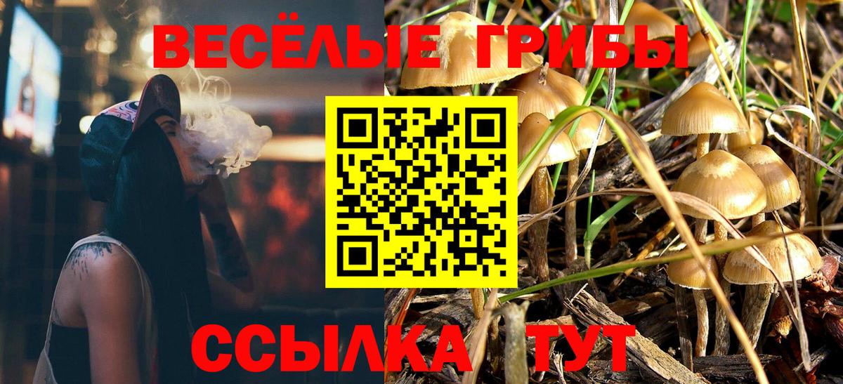 наркотики  Псилоцибиновые грибы MAGIC MUSHROOMS  Вход с VPN  Галлюциногенные грибы ЛСД  Россия 