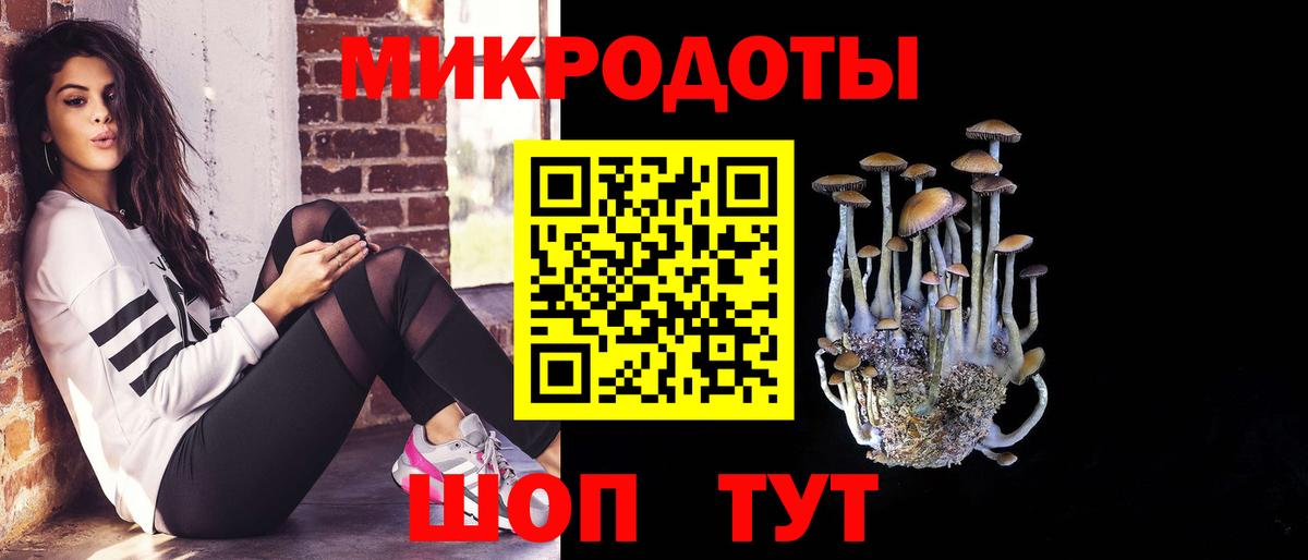 Псилоцибиновые грибы мухоморы Россия